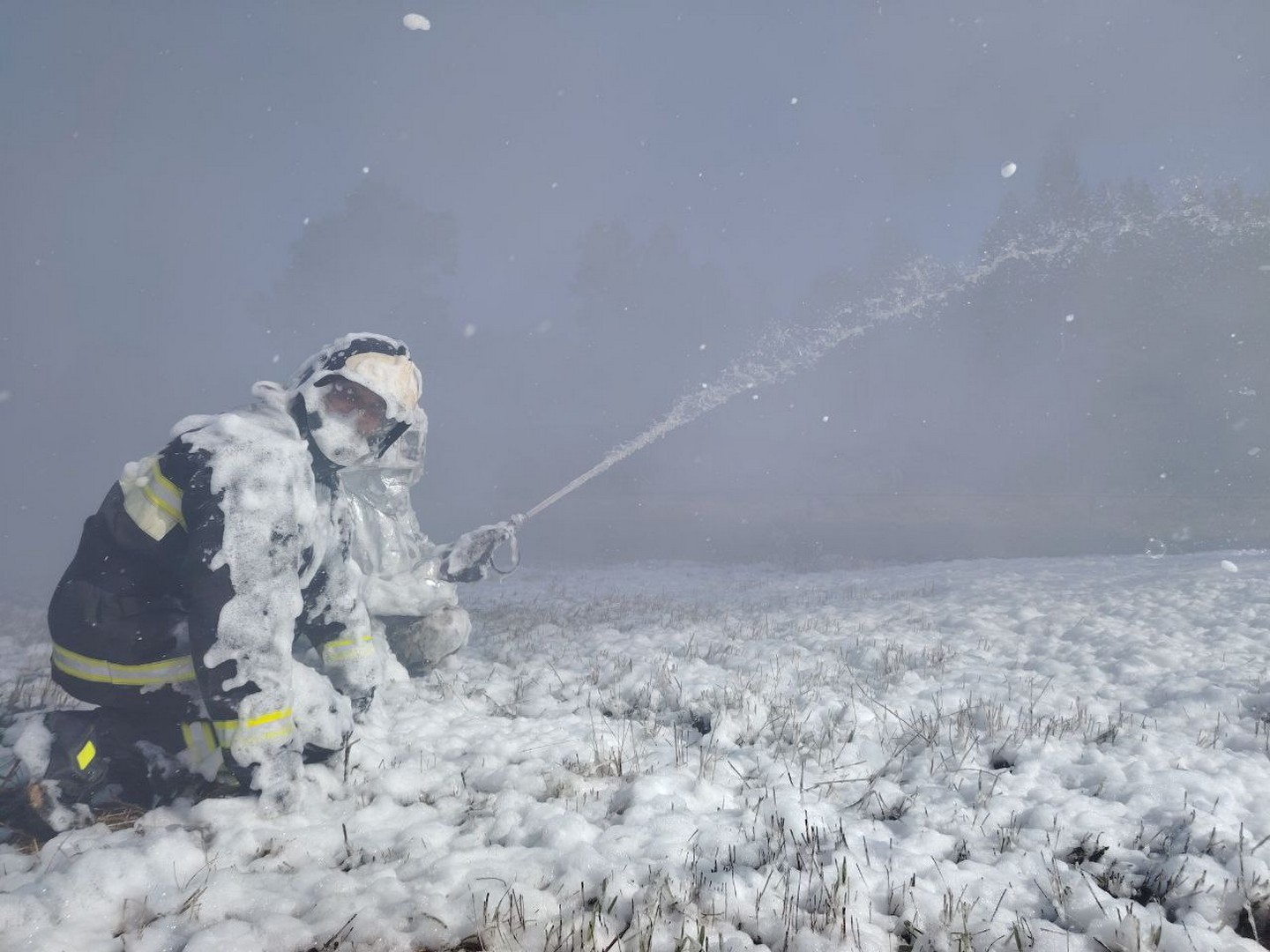 photo 5388778235615107618 y